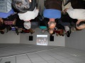 aassemblee-generale-0322019-1